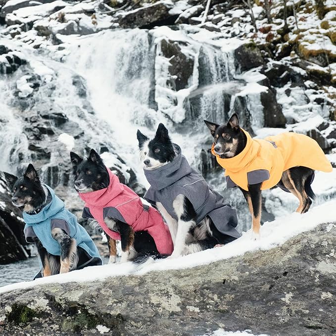Hurtta Expedition Parka, Winter Dog Coat, BlackBerry, 16 in