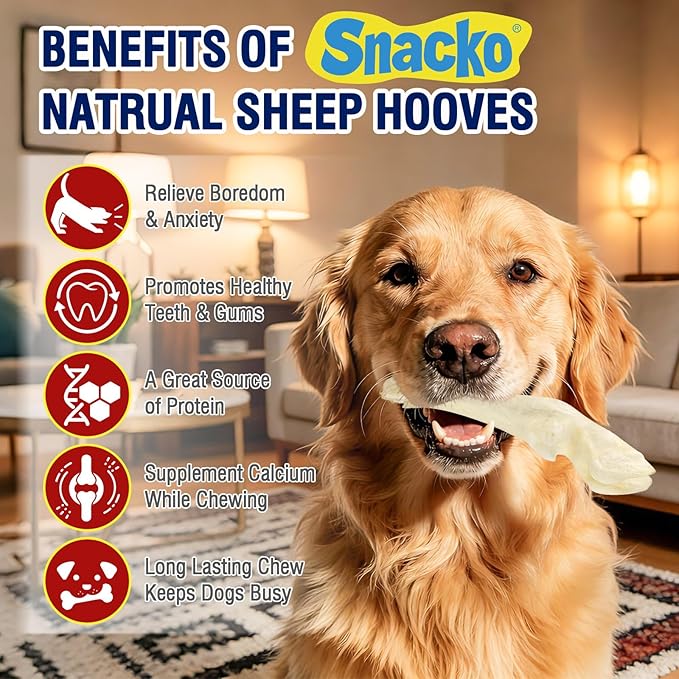 Sheep Hooves Dog Treats Dehydrated Lamb Trotters 7.4 oz Single Ingredient Chew Sticks Bone for Puppy Organic Training Low Fat