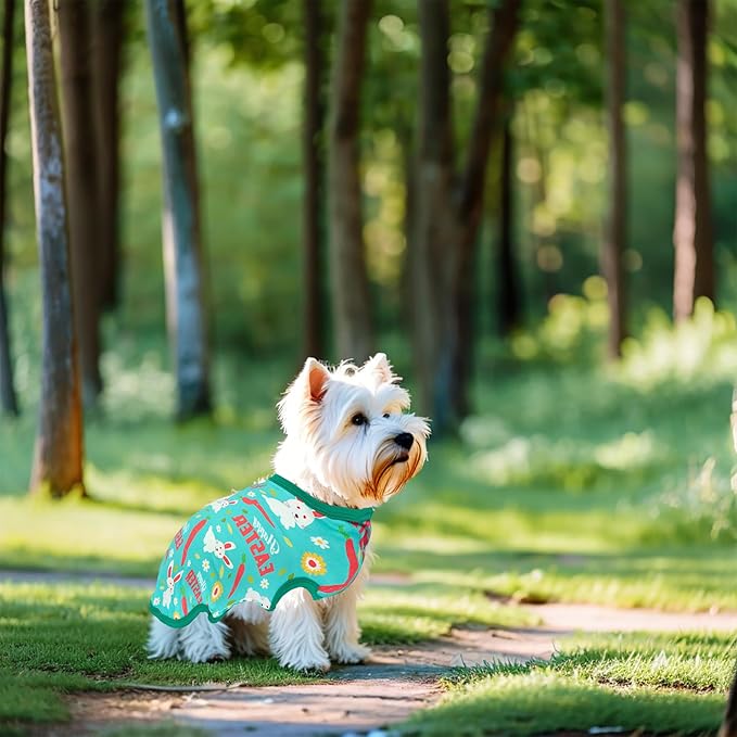 Easter Dog Shirts for Medium Dog Girl Boy Male Female Cat Doggie Puppy Sleeveless Tank Top Tee Vest T Shirts Outfit Pack 2