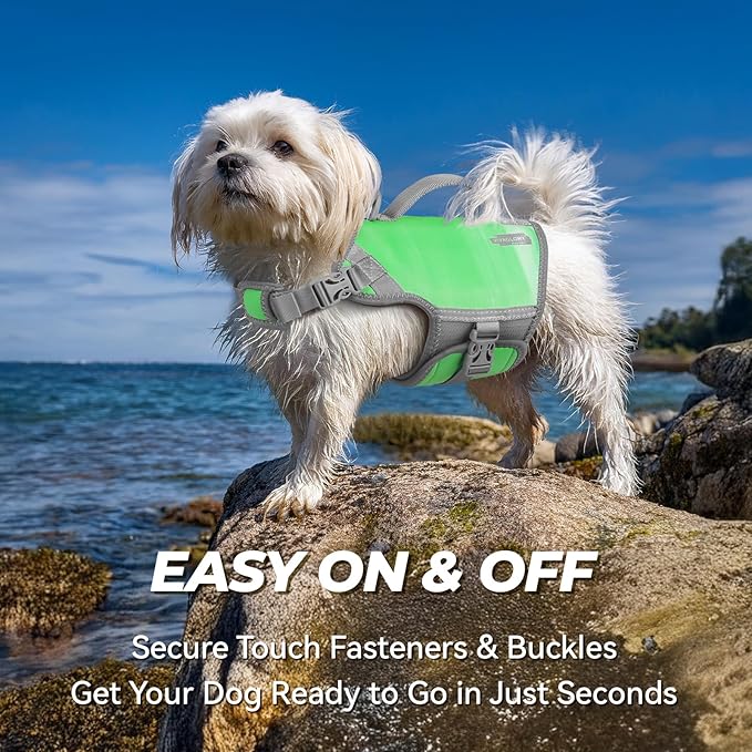 VIVAGLORY Neoprene Dog Life Vest, Dog Life Jacket for Swimming & Boating, Lightweight & Buoyancy for Puppy Doggy, Swimming Vest with Handle, XS, Grape Green