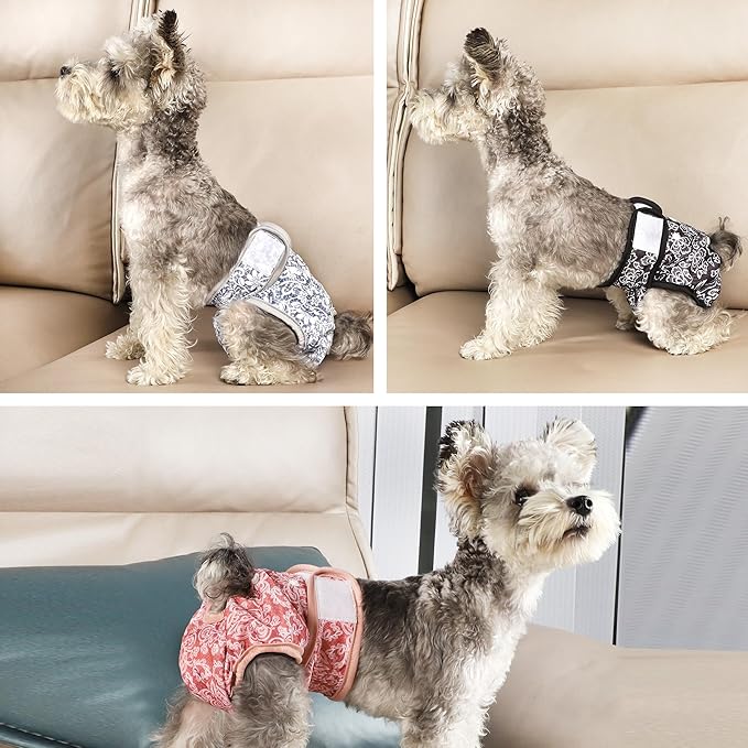 wegreeco Luxury Washable Reusable Dog Diapers (Stylish Pattern) - Female Dog Diapers, Doggie Diapers, 3 Pack (Lace, Medium)