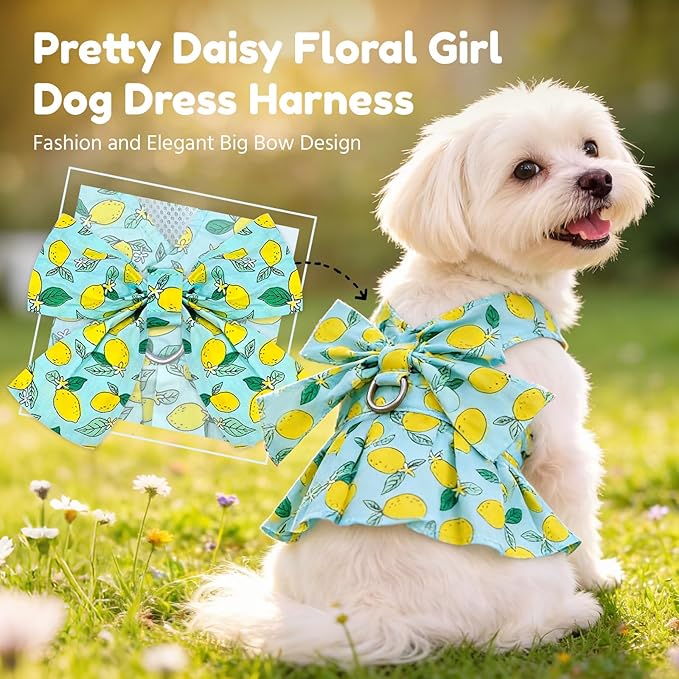 BAEJMJK Dog Dress Bowknot Harness Leash Set for Small Dogs Cats Girl Floral Princess Dog Dresses Cute Puppy Fruit Clothes Pet Doggy Outfits Spring Summer Breathable Dresses(Green,Medium)