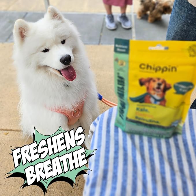 Chippin Healthy Dog Treats, All Natural Crunchy Biscuits with Spirulina, Kale, Oats, Low Calorie, No Meat, Hypoallergenic, Vegan Treats for Puppy, Small, Large Dogs, 2 Pack