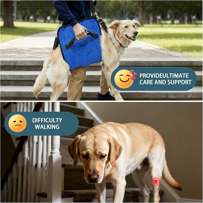 Adjustable Dog Lift Harness, Dog Carry Sling Provides Rear Leg Support for Arthritis and After ACL Surgery Dogs,Suitable for Medium to Large Dogs,XL