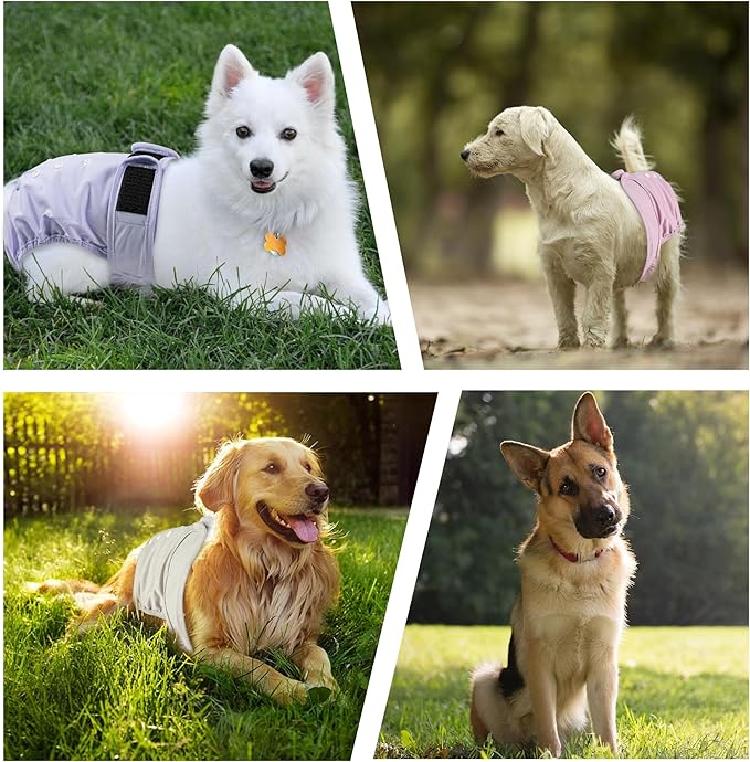 3 Pack Washable Female Dog Diapers,Reusable Diaper for Doggie,Highly Absorbent Dog Diaper,Adjustable Leakproof Puppy Diapers Skirt for Heat,Incontinence,Period Doggy Nappies XL