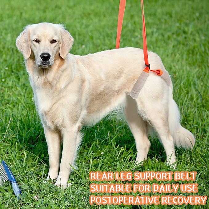 Mixweer 2 Pcs Dog Support Harness for Back Legs Dog Rear Lifting Sling Aid with Handle and Shoulder Strap Hind Leg Support for Pet Mobility Helps Puppy with Poor Stability Joint Injuries(Orange)