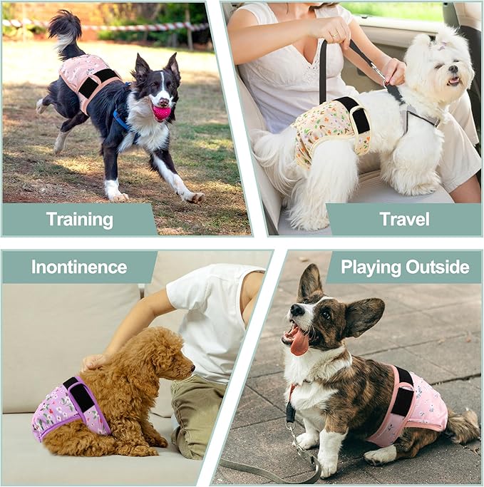 Female Dog Diapers - Premium Reusable Diapers for Doggie in Heat - Highly Absorbent Dog Diapers Female for Pet Incontinence with Adjustable Snaps Flowers, S