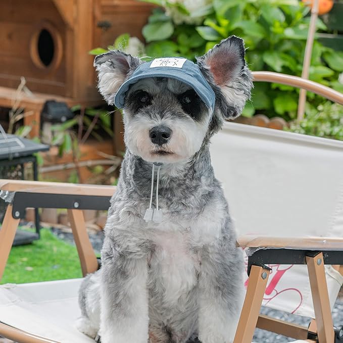 Pet Dog Baseball Cap, Cat Hat, Cat Dog Sun Cap with Ear Holes, Adjustable Puppy Outdoor Sun Hat (Blue, Large)