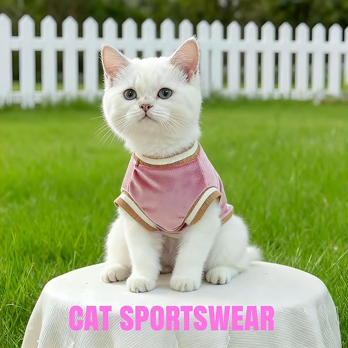 Dog&Cat Jersey,Pet Clothes for Dogs&Cats，Number 97,Soft Warm Cotton Blend Sweatshirt for Fall&Winter, Breathable Cozy Pet Sports Shirt, Durable Outdoor Daily Wear (Pink, XL)