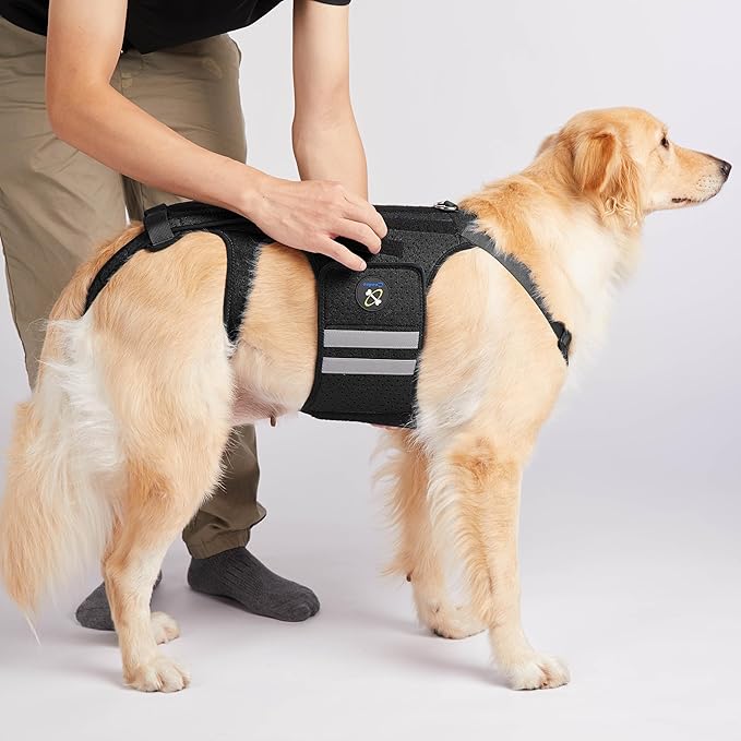 Coodeo Dog Back Brace for Dogs Arthritis, Pet Back Bracer for IVDD, Back Protector Helps Pain Relief, Surgical Recovery and Rehabilitation, Dogs Back Disease Prevention. (Black,Large)