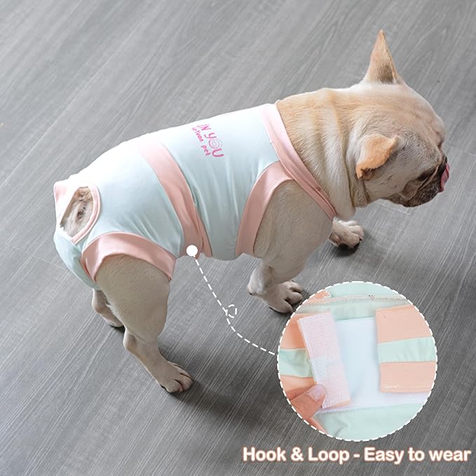 PUMYPOREITY Escape Proof Dog Diapers - Reusable, Washable, French Bulldog & Female/Male Period Diapers - Blue, XL