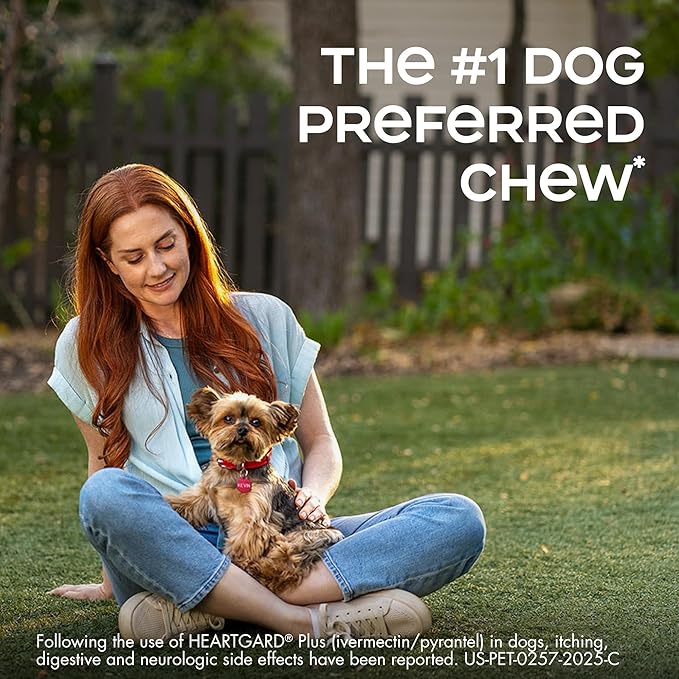 HEARTGARD® Plus (ivermectin/pyrantel) Real-Beef Chewables for Dogs up to 25 lbs (Blue Box) 1 Month Supply of Chews (Heartworm Disease Preventive)
