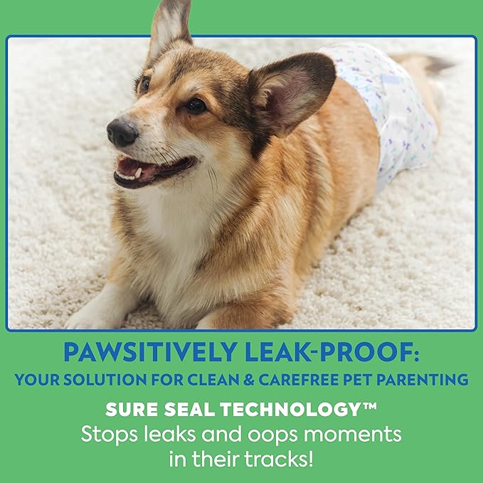 Out! PetCare Disposable Dog Diapers Male, Puppy Belly Band, Potty Training, Doggie Diapers, Belly Bands for Male Dogs, Puppy Training, Incontinence, (XS/S, 32ct)