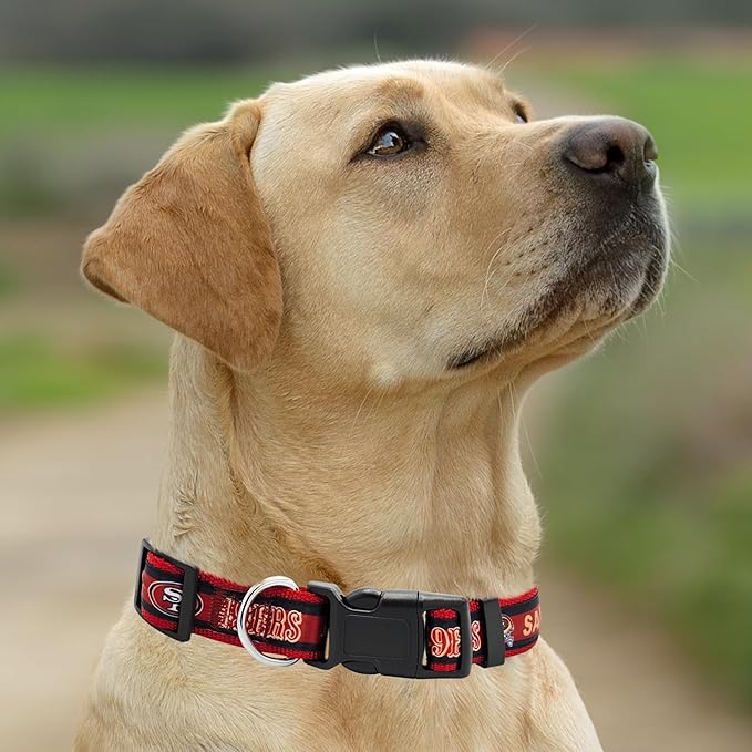 Pets First NFL San Francisco 49ers Licensed PET COLLAR, Large - Heavy-Duty, Strong, and Durable Dog Collar. Available in 31 Football Teams and 4 Sizes