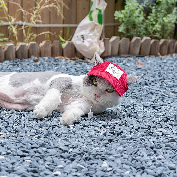 Pet Dog Baseball Cap, Cat Hat, Cat Dog Sun Cap with Ear Holes, Adjustable Puppy Outdoor Sun Hat (Red, Small)