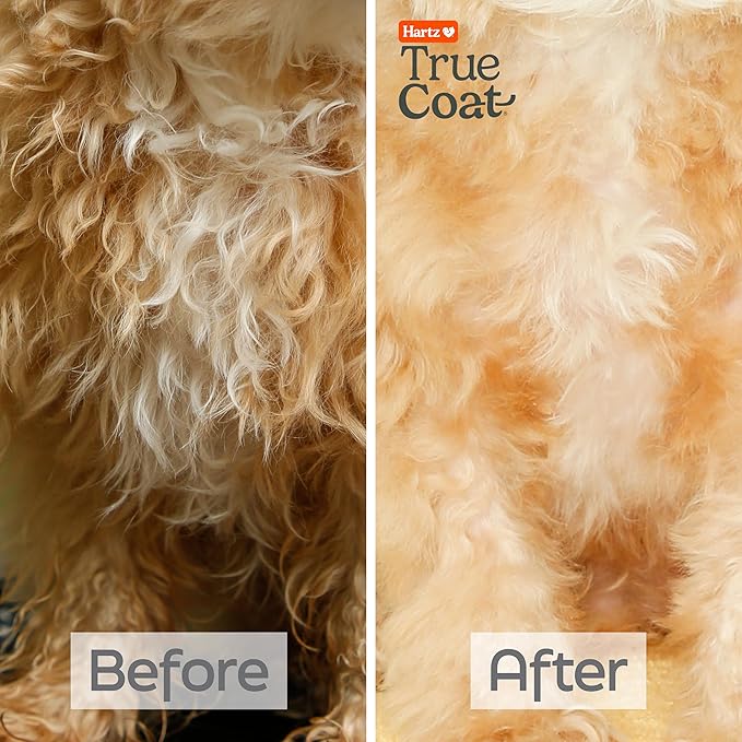 Hartz True Coat Curly or Wavy Coat Specific Dog Shampoo, Detangles & Conditions with Oat Milk, Coconut Oil & Shea Butter