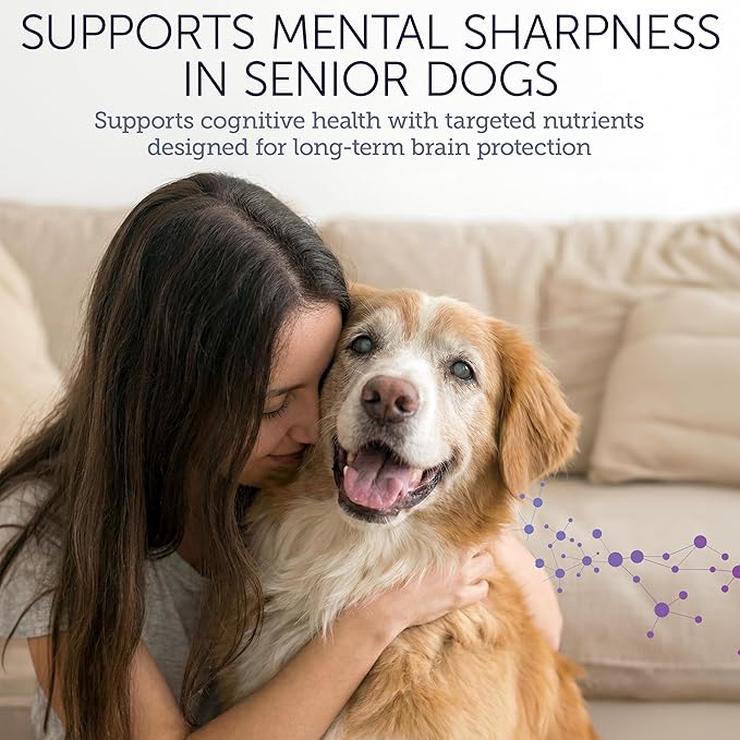 Dog Cognitive Supplement - Supports Senior Dog Memory, Alertness, and Behavior with DHA (Omega 3) and Ashwagandha - Helps Promote Brain Health and Focus in Aging Dogs - 45 Soft Chews