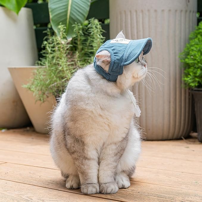 Pet Dog Baseball Cap, Cat Hat, Cat Dog Sun Cap with Ear Holes, Adjustable Puppy Outdoor Sun Hat (Blue, Medium)