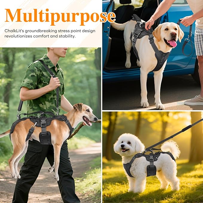 Dog Lift Harness, Dog Support & Recovery Sling for Full-Body & Hind/Front Leg – Pee-Able Design for Large/Medium Dogs – All-in-One Ideal Assistance for Senior, Disabled, Arthritic & ACL Canines (M)
