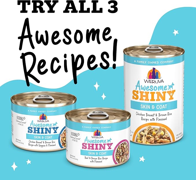 Weruva Awesome Shiny Wet Dog Food, Beef & Brown Rice, 14oz Can (Pack of 10)