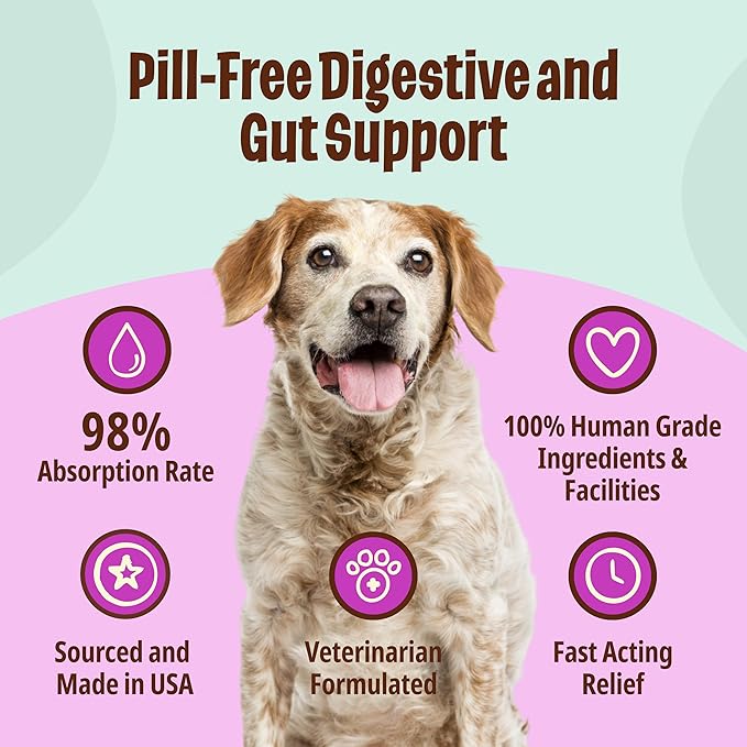 Licks Pill Free ElderDog - Older Dog Vitamins and Supplements - Joint & Immune Support Supplements for Dogs - Dog Coat & Digestion Supplement for Senior Dogs - Gel Packets - Roasted Chicken, 10 Use