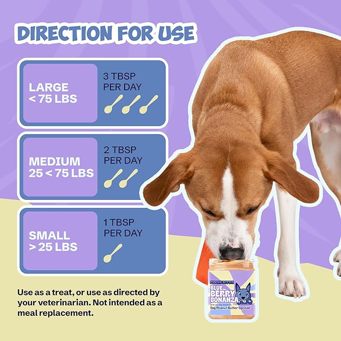 Dilly's Blueberry Dog Treats | Chunky Dog Peanut Butter with Blueberry, Natural Dog Snack (12oz Jar)