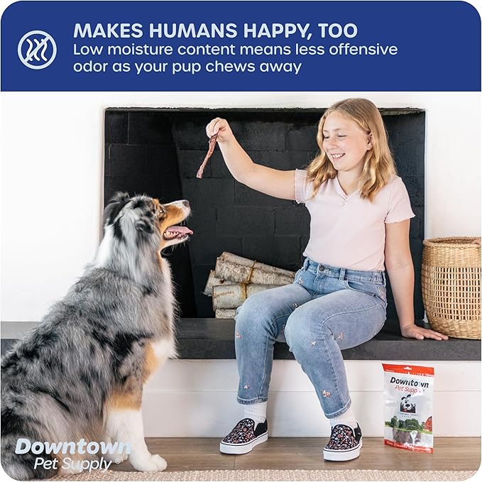 Downtown Pet Supply Bully Sticks - 12" REGULAR - 48 Pack -SOUTH AMERICA & TURKEY