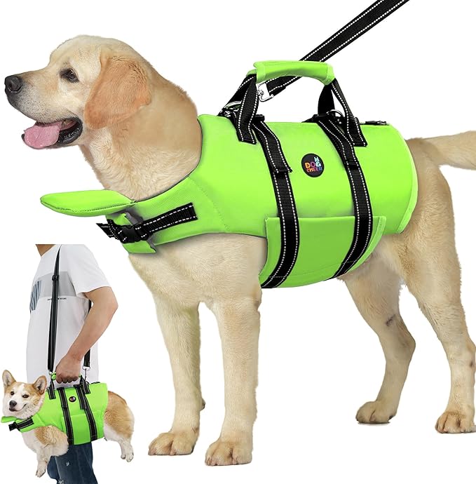 Dogcheer Dog Life Jacket with Back Zipper, High Buoyancy Puppy Swimming Vest, Dog Life Vest for Boating, Reflective Pet Floating Swim Vest PFD for Small Medium Large Dogs-Green,M