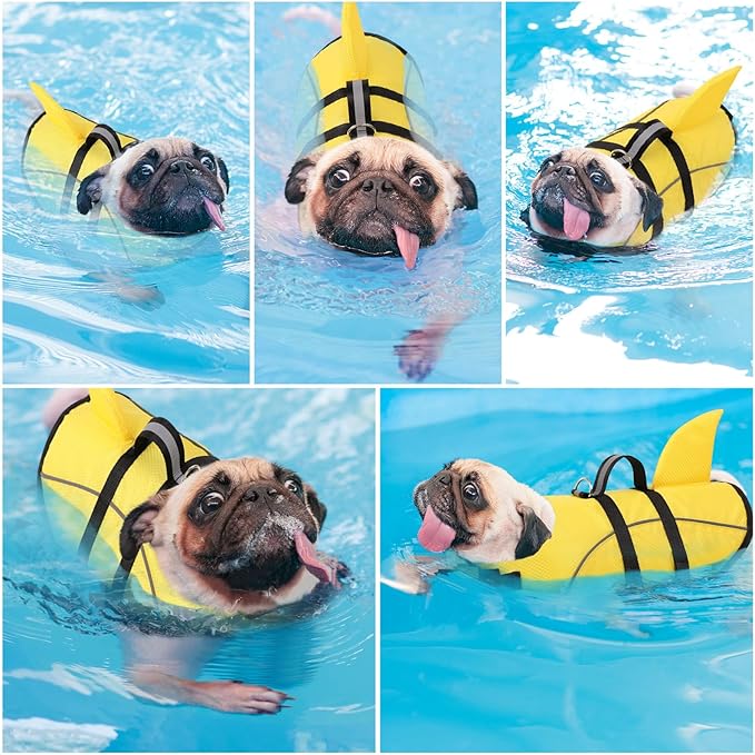 Queenmore Cat Life Jacket, XXS Extra Small Dog Life Vest, Puppy Life Vest for Swimming, Small Dog Vests for Boating, Lightweight High-Vis Water Floating Vest with Rescue Handle/Leash Hook