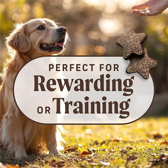 Merrick Power Bites Natural Soft And Chewy Real Meat Dog Treats, Grain Free Snack With Real Salmon Recipe - 6 oz. Bag