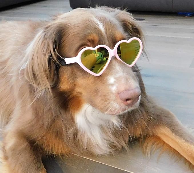 G012 Dog Pet Costume Prop Sunglasses Heart Shape Medium Breeds 20lb-40lbs (2-Pack Red +Pink-Pink Mirror)