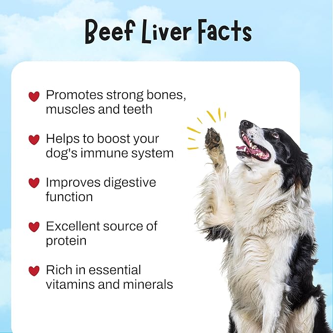 Zora's Best Friendz - 100% Human-Grade Oven-Roasted Freeze-Dried Beef Liver Dog Treats, 3 oz, Healthy, no HPP, Grain-Free, Gluten-Free, No Preservatives, Made in The USA (4 Pack, Beef Liver)