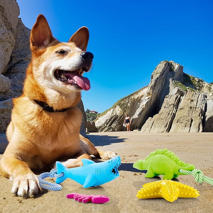 4 Pack Floating Dog Toys for Aggressive Chewers Summer Interactive Fetch Games Natural Teeth Cleaning for Small Medium Dogs Shark Dino Fish Starfish Set