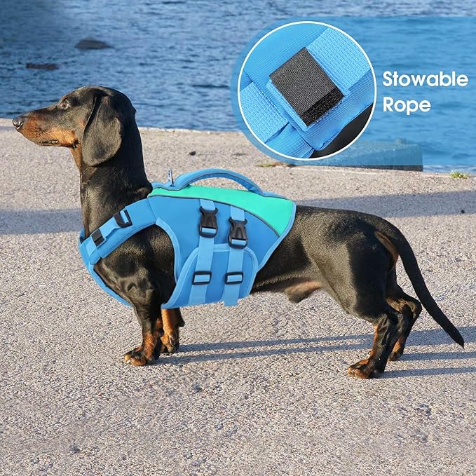 Queenmore XS Dog Life Jacket,Reflective Small Dog Life Vest for Swimming Boating，Adjustable Pet Life Vest for Extra Small Dogs with High Buoyancy,Safety Dog Swimming Vest with Handle(Blue,XS)