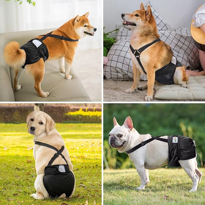 Idepet Female Dog Diapers with Suspender Detachable, 3 Pack Washable Reusable Girl Doggie Diapers for Small Medium Female Dog in Heat Period Cycle Urinary Incontinence Training S