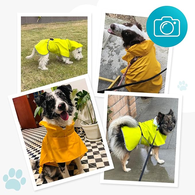 Dog Raincoat, Waterproof Windproof Dog Rain Jacket with Hood, Rain Coat with Leash Hole, Adjustable Raincoat Poncho for Small Medium Large Dogs Outdoor (Blue, M)