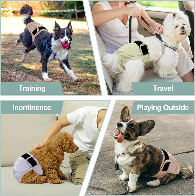 Washable Female Dog Diapers - Premium Reusable Diapers for Doggie in Heat - Highly Absorbent Dog Diapers Female for Pet Incontinence with Adjustable Snaps Pink, M