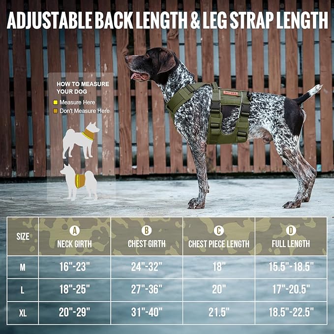 OneTigris Breathable Dog Lift Harness for Medium Sized Dogs, Dog Sing for Large Dogs Hind Leg Support, Hip Support Brace Front Leg Vrace (Green, Medium)