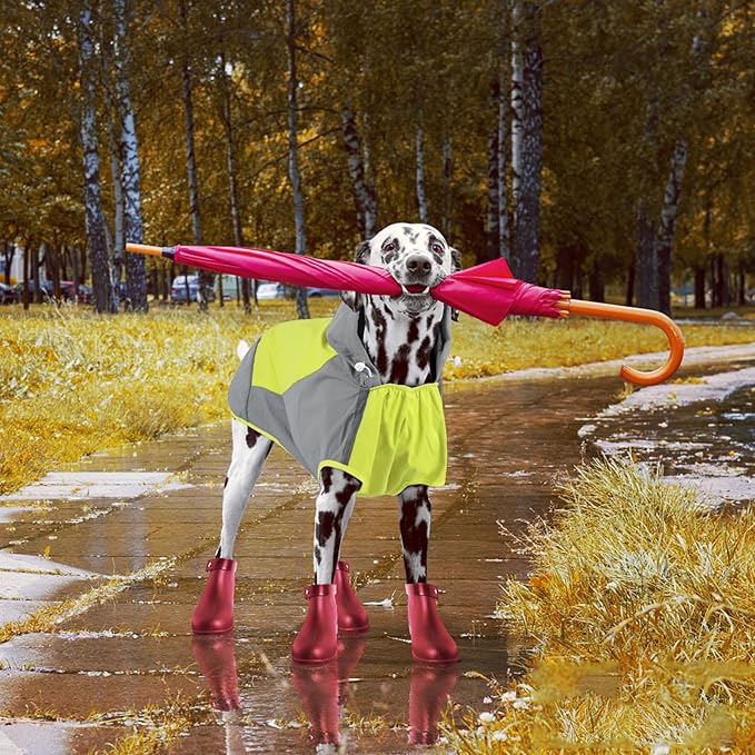 IECOii Large Dog Raincoat Waterproof,Hooded Rain Jacket Keep Dog Dry in Wet Weather,Reflective Rain Poncho Clothes with Convenient Leash Hole/Adjustable Magic Sticker/Easy On and Off/,Green,Large
