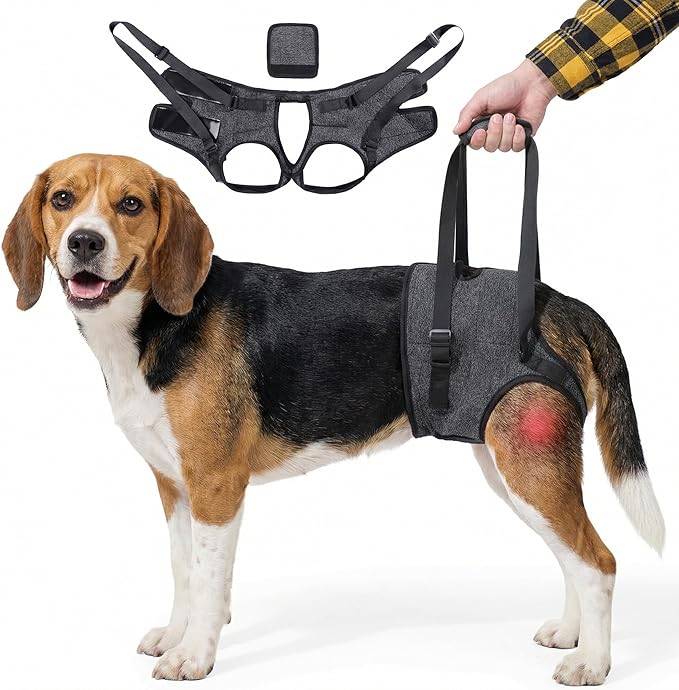 Dog Lift Harness for Back Legs–Sturdy Dog Support Sling–Hip Sling Carrier for Large Medium Canine, Stair Helper for Aid Old Ligament Rehabilitation Pet, Grey,M