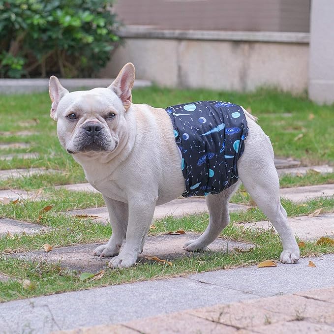 CuteBone Reusable Male Dog Wraps XL DM11XL