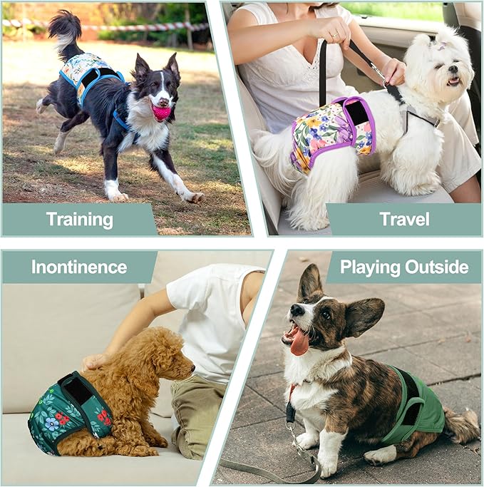 Female Dog Diapers 5Pcs - Premium Reusable Diapers for Doggie in Heat - Highly Absorbent Dog Diapers Female for Pet Incontinence with Adjustable Snaps, Green, M