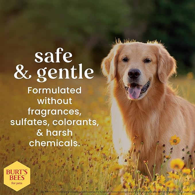 BURT'S BEES FOR PETS Tear Stain Remover for Dogs with Chamomile, 99.9% Natural Origin Formula, Gently Cleanses Eye Area and Removes Debris, Safe for Dogs and Puppies, Cruelty-Free, 4 Fl Oz - 2 Pack