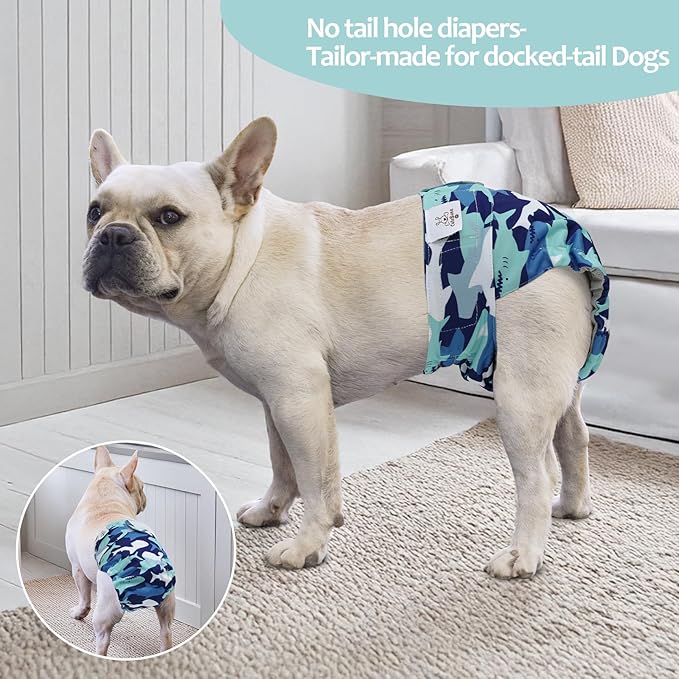 CuteBone Washable Dog Diapers Female No Tail Hole 3 Pack Reusable Doggie Period Training Pants for Docked-Tail Frenchie French Bulldog Boston Terrier Without Tail WWD23XS