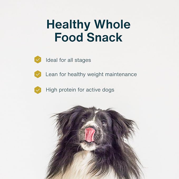 JustFoodForDogs Dog & Cat Treats - Pumpkin Recipe (5 oz)