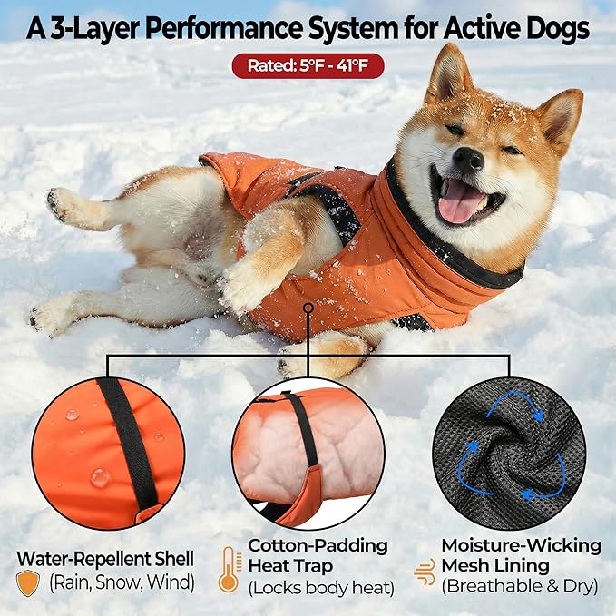 Dog Winter Coat, Warm Puffer Jacket with Fur-Safe Buckle & Leash Hole for Cold Weather, Water-Repellent Snow Vest, Breathable Thermal Apparel for Hiking & Active Dogs (Aurantium, X-Small)