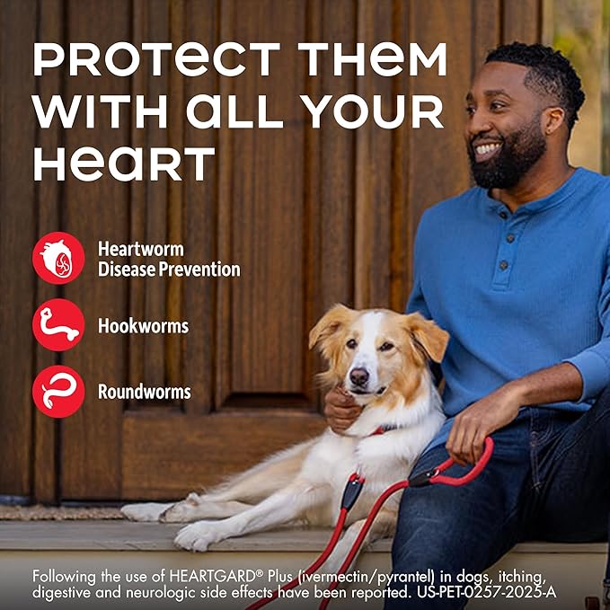 HEARTGARD® Plus (ivermectin/pyrantel) Real-Beef Chewables for Dogs up to 25 lbs (Blue Box) 1 Month Supply of Chews (Heartworm Disease Preventive)