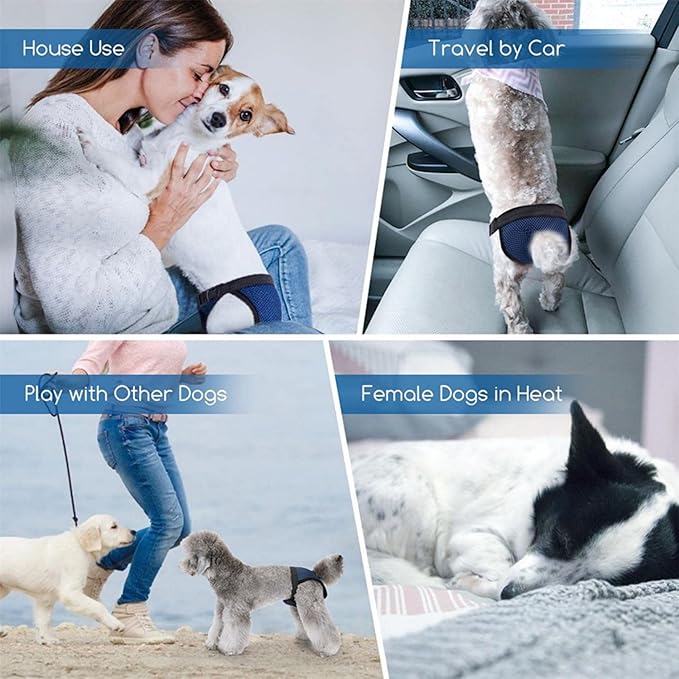 Female Dog Heat Cycle with 3 Replace Diaper,Dog Pants in Heat Reusable Diapers Adjustable Protective Pants for Dogs Black L