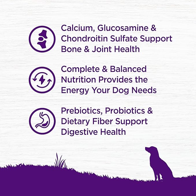 Wellness Complete Health Senior Dry Dog Food, Wholesome Grains, Natural, Age Advantage Chicken & Barley Recipe, (5-Pound Bag)
