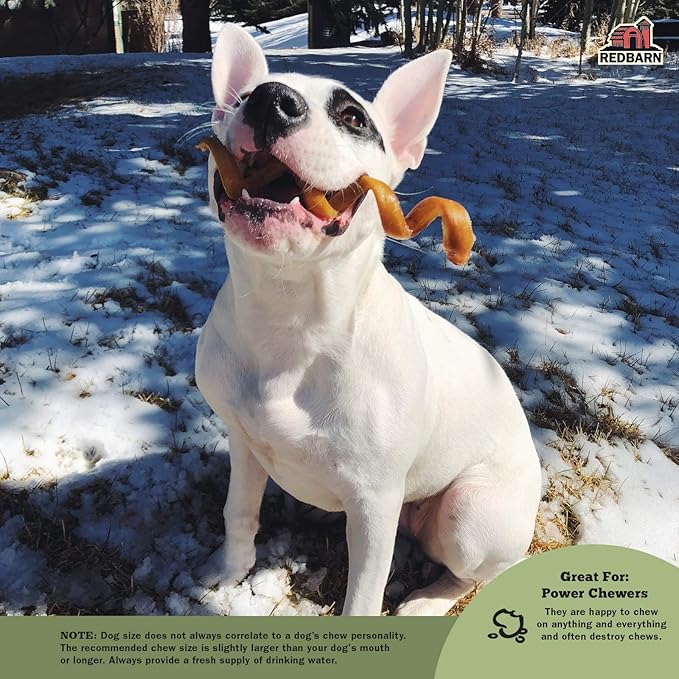 Redbarn Pet Products Bully Springs for Dogs, Pack of 25